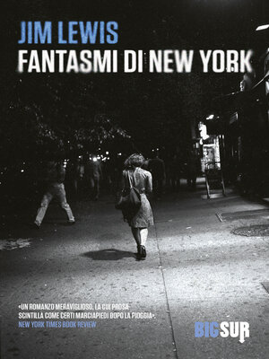 cover image of Fantasmi di New York